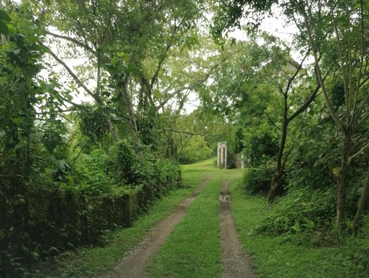 Casa Camino A Las Pozas Xilitla Bagian luar foto