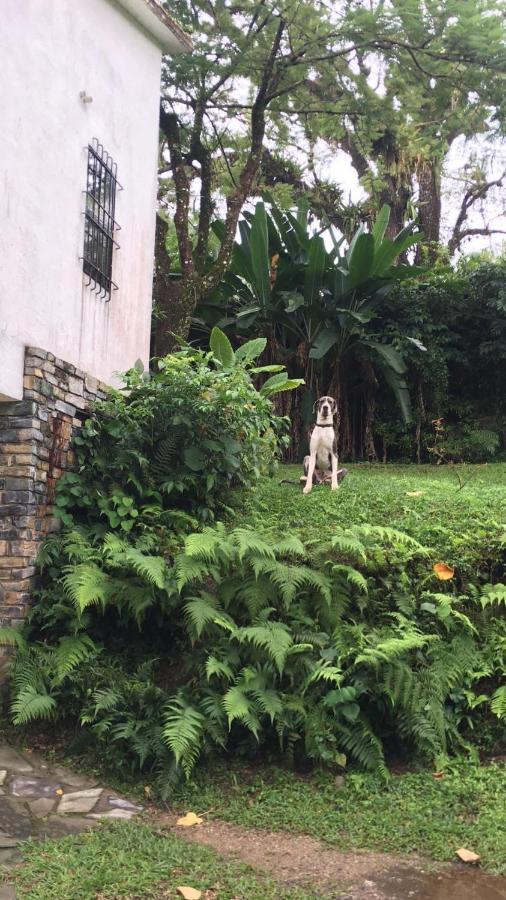 Casa Camino A Las Pozas Xilitla Bagian luar foto